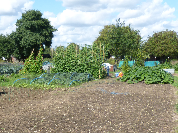 Allotment